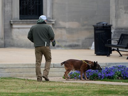 An ordinance sniffing dog patrols the Mississippi State Capitol grounds as Capitol Police respond to a bomb threat at the state building in Jackson, Miss., Jan. 3, 2024.