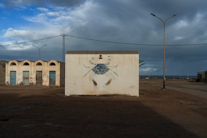 Uno de los almacenes de cangrejo azul en Kerkennah (Túnez), en 2022.