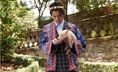 Harry Styles en la campaña Crucero 2019 de Gucci. 