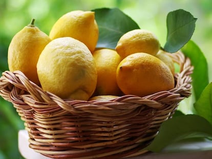 Cuánto puede durar el típico limón que dejamos olvidado en la nevera