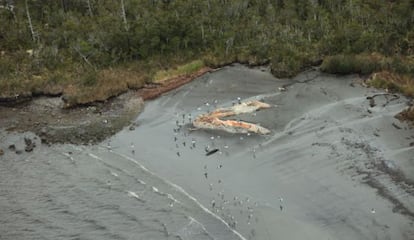 El Golfo de las Penas se caracteriza por ser un lugar de fuertes vientos, frío y grandes olas.