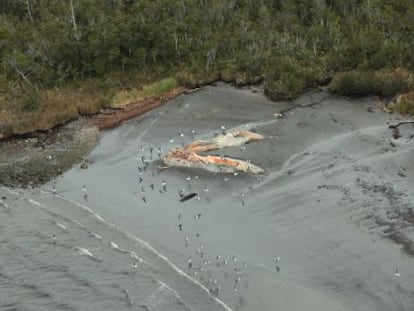 O Golfo de las Penas se caracteriza por ser um lugar de fortes ventos, frio e com grandes ondas.