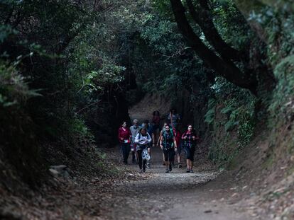 Un grupo de personas haciendo el Camino de Santiago.