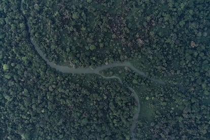 Imagen aérea del río Lacantún, en la reserva Montes Azules, en la Selva Lacandona, Chiapas.