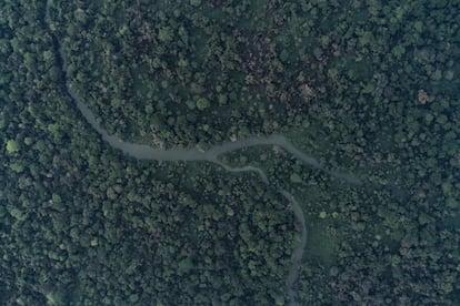 Imagen aérea del río Lacantún, en la reserva Montes Azules, en la Selva Lacandona, Chiapas (México),