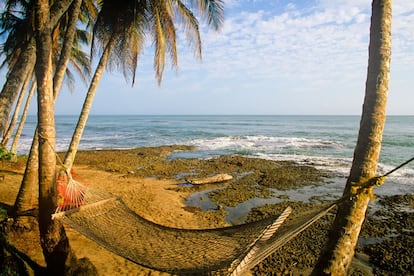 La ruta concluye con aires afrocaribeños, entre Puerto Limón y las playas del litoral sur, como Cahuita (en la foto) y Puerto Viejo de Talamanca. El plan es fácil: tumbarse en una hamaca; coger la bici para ir a para bucear con tubo en playas casi vacías o caminar hasta pozas alimentadas por cascadas.