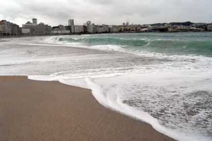 Playa de Riazor (A Coruña), una habitual, y muy cuestionada, del listado de banderas azules.