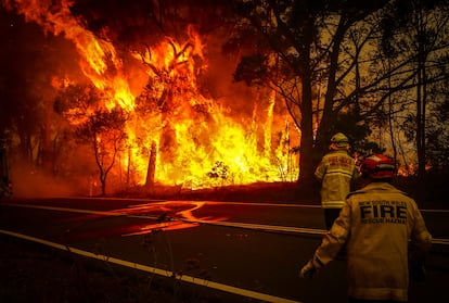 Bomberos trabajan en un incendio forestal a las afueras de la ciudad de Bilpin, cerca de Sídney (Australia), en diciembre de 2019.