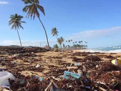 Esperan conseguir evitar en este mes de julio mil millones de desechos plásticos