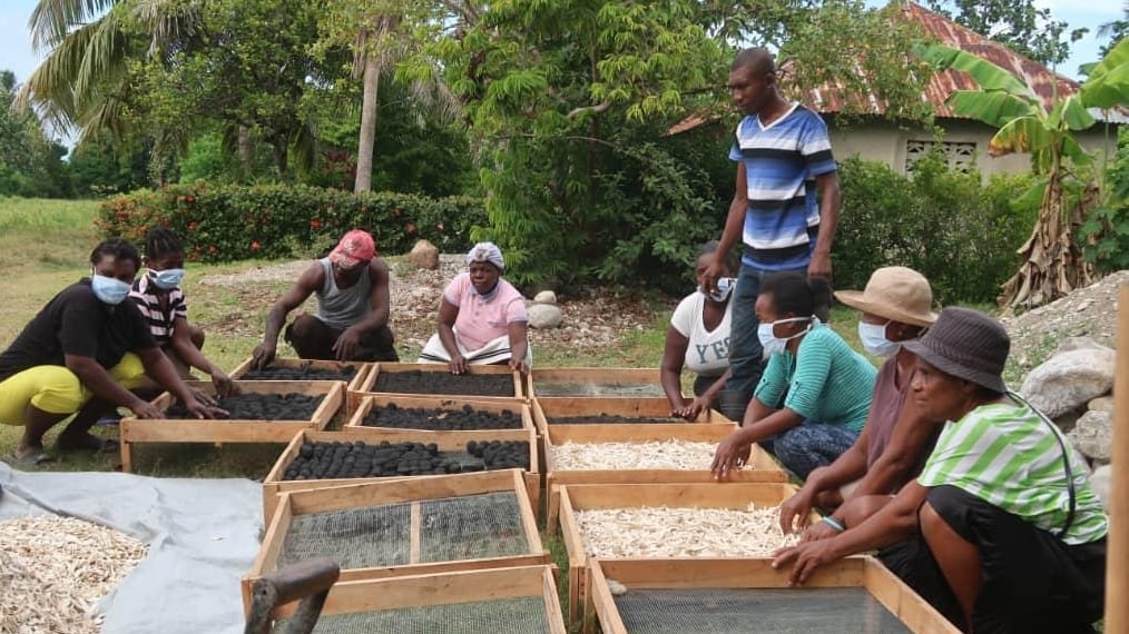 Biochar, el carbón ecológico que busca combatir la deforestación en Haití