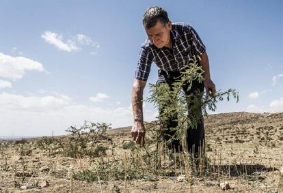 Ser ambientalmente responsable y tener crecimiento económico no son excluyentes