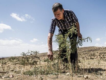 Ser ambientalmente responsable y tener crecimiento económico no son excluyentes