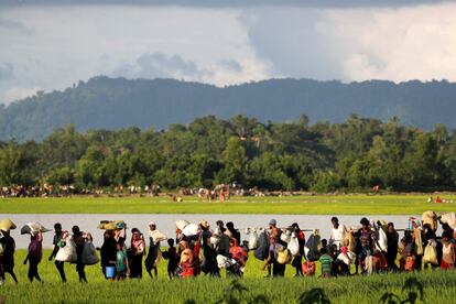 Un grupo de refugiados rohingya, llegados de Myanmar, atraviesa un campo de arroz tras cruzar la frontera en Palang Khali cerca de Cox's Bazaar (Bangladés).