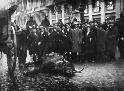 Toro hido en plena Gran Vía