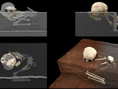 Reconstrucción de los restos de Panga ya Saidi y la posición del cadáver del niño.