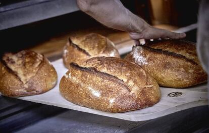 Cada día elaboran 300 kilos de pan.