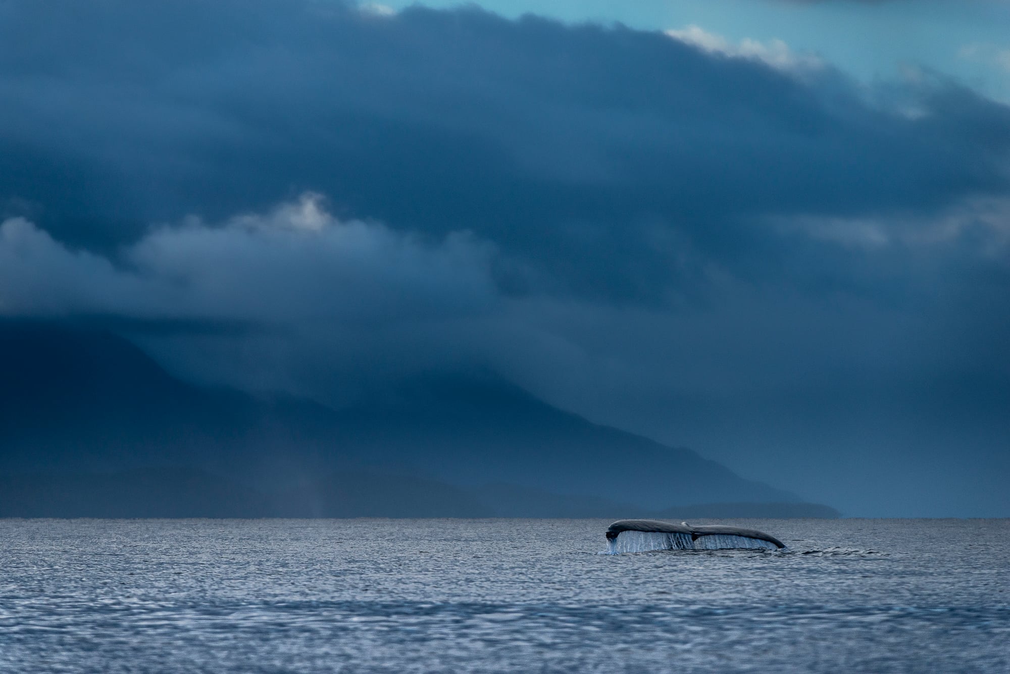 El área natural protegida se localiza a 90 kilómetros al suroeste de la ciudad de Punta Arenas, donde es posible observar ballenas jorobadas.