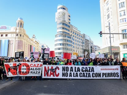 Centenares de personas protestaron el pasado domingo en Madrid contra la exclusión de los perros de caza de la Ley de Bienestar Animal.