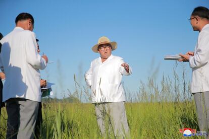 El líder norcoreano instruye al gobierno local para una futura construcción en Kyongsong (Corea del Norte).