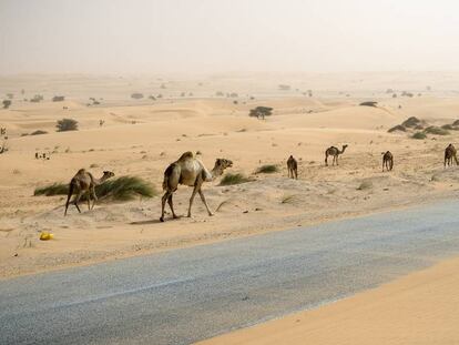 La carretera del desierto