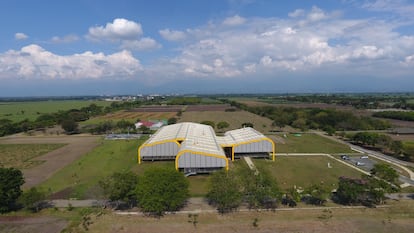 Semillas del Futuro, en el Centro Internacional de Agricultura Tropical (CIAT), en Palmira, en el departamento del Valle del Cauca, Colombia