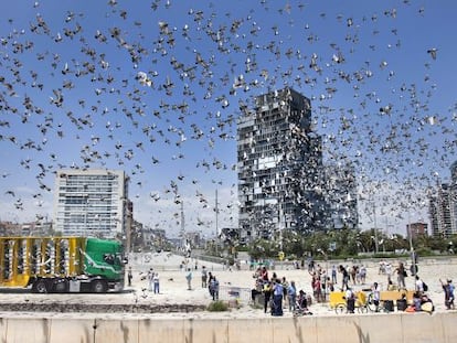 Suelta de palomas m&aacute;s importante del mundo en la playa Nova Marbella de Barcelona.