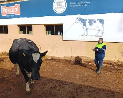 La veterinaria Chus Fernández.