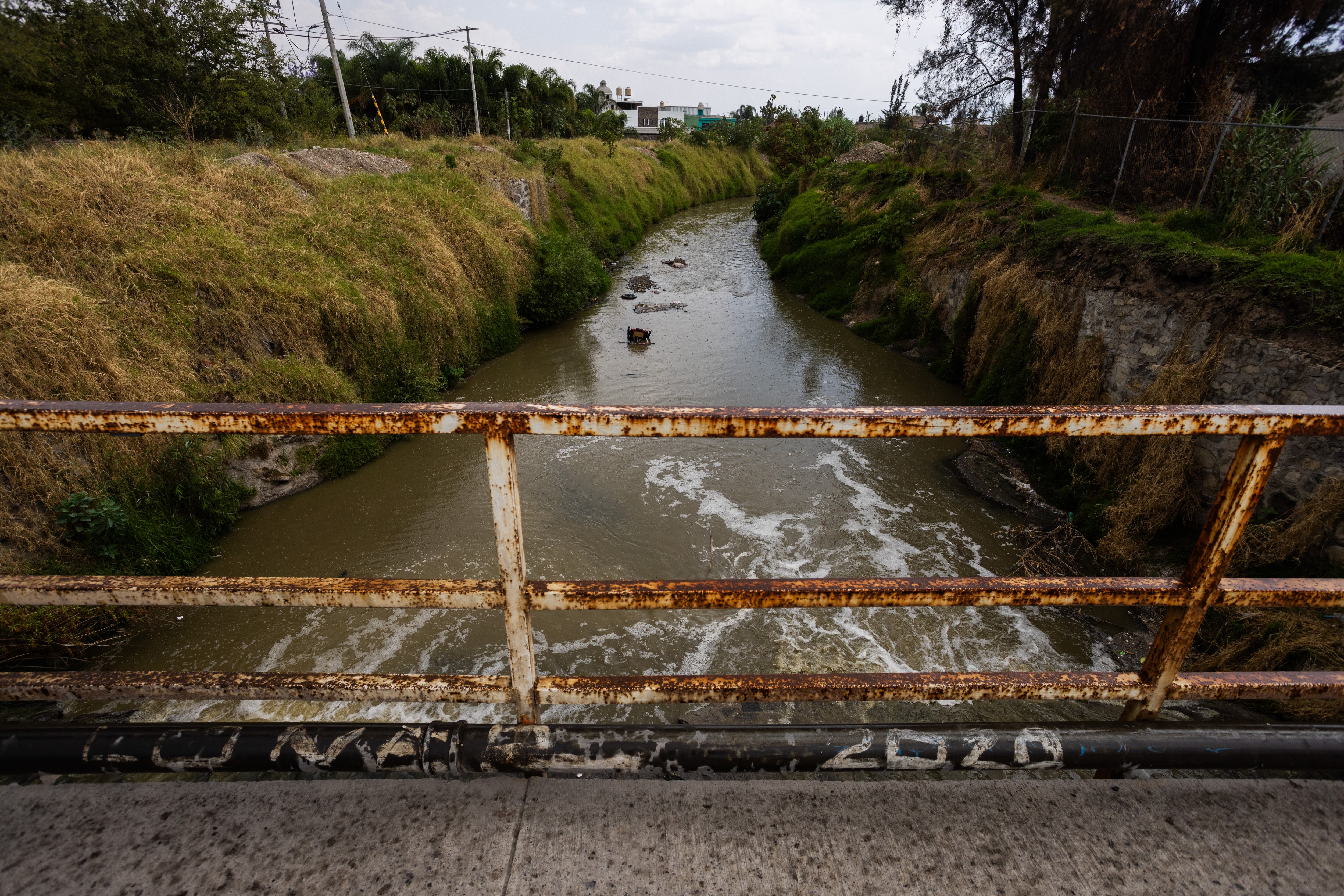 Arroyo Seco, afluente de la Presa Las Pintas, donde llega el agua del Lago de Chapala, en abril de este año.