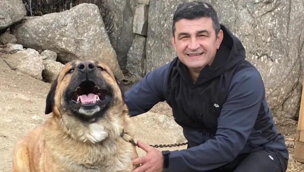 Últimas palabras de Mircea, el héroe de Tres Cantos, a su mujer, ya herido: “No sé si aguantaré”