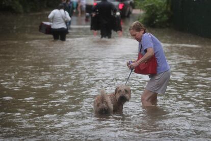 Un residente camina junto a su perro a través de una calle inundad debido al paso del huracán Harvey, en Houston.