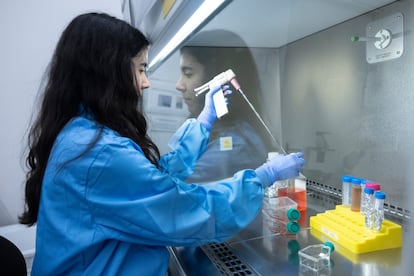 La enigmática huella de los microplásticos en la salud: "Se desconocen los efectos a largo plazo"
