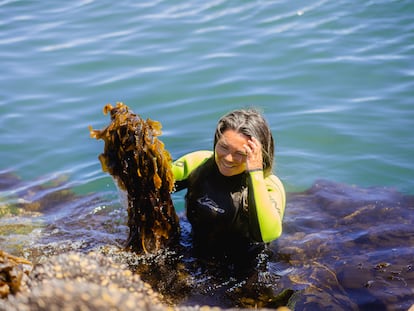 La chef Carola Puracchio durante una recolección de alga wakame en Camarones (Argentina).