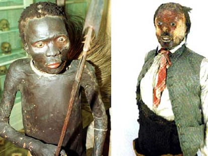 A la izquierda, el <i>negro de Banyoles.</i> A la derecha, el <i>español de Montbrison.</i>