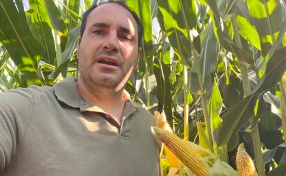 Captura de pantalla de uno de los videos del 'agroinfluencer' Guillermo Asín