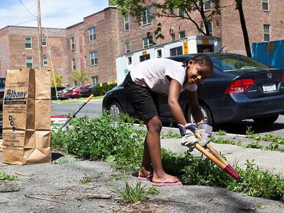 Permacultura urbana hacia la sostenibilidad