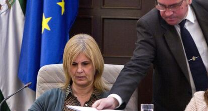 García Pelayo observa una documentación que le han entregado durante el pleno de este lunes.