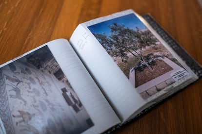 Imágenes del álbum de Inés y sus amigas durante el viaje a Jordania.