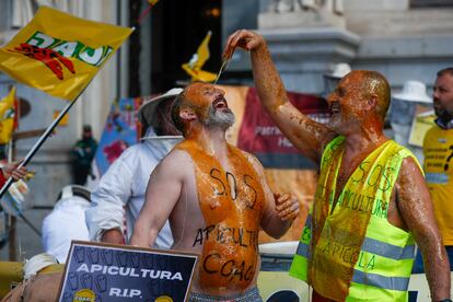 Los apicultores españoles se concentran para pedir auxilio por la crisis que atraviesa el sector, convocados por las organizaciones Asaja, COAG y UPA, este jueves ante el Ministerio de Agricultura, Pesca y Alimentación, en Madrid. 
