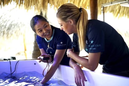 Laboratorio de coral de Iberostar en la República Dominicana para restaurar los arrecifes.