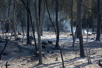 Una zona arrasada por las llamas este domingo tras declararse un incendio forestal en Ventalló (Girona). 