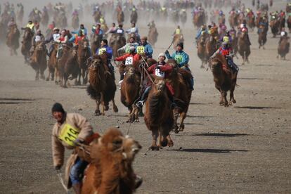 El famoso Festival del Camello de Mongolia, realizado en Dalanzadgad, comprende una extensa carrera de jinetes de camellos en el desierto de Gobi. En la imagen, los participantes durante la carrera.