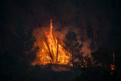 Pinos y otra vegetación arden en el incendio de Pont de Vilomara, Barcelona, el 17 de julio de 2022. El fuego ha afectado en las primeras 12 horas a unas 95 hectáreas.