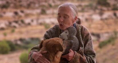 Jane Goodall en una visita a Relleu en 2004