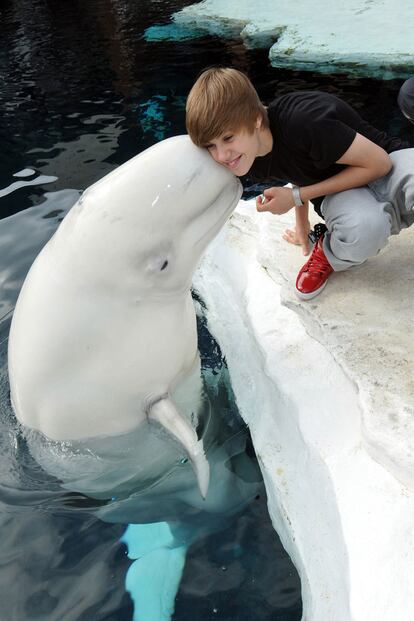 Da besos a los delfines. 