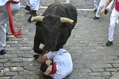 Los toros de la ganadería pacense a su paso por el tramo de Telefónica.