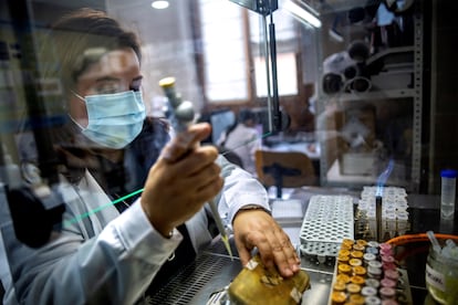 Una investigadora de la Facultad de Ciencias Ambientales y Bioquímica en el Campus Tecnológico de Toledo de la Universidad de Castilla-La Mancha (UCLM), este jueves.