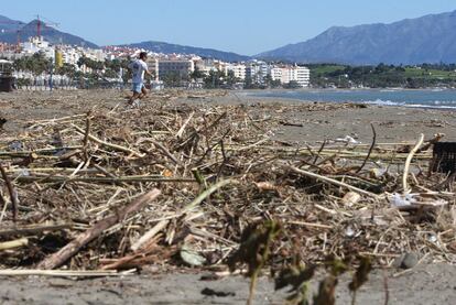 Ramas y desechos arrastrados por las fuertes lluvias hasta una playa de Estepona.