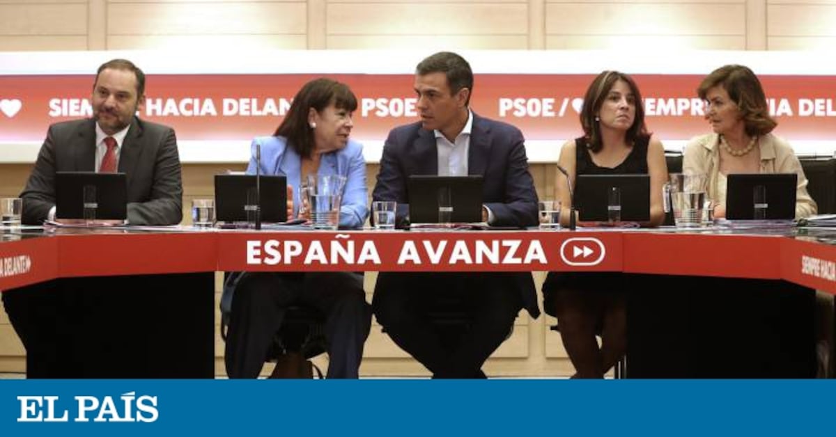 El PSOE frente al vértigo de Bildu | Política | EL PAÍS