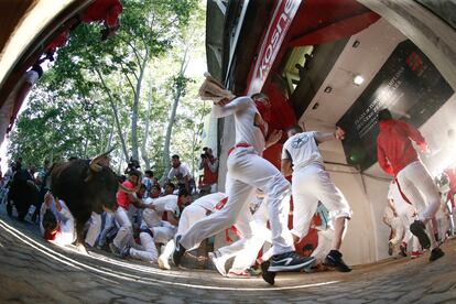 Varios mozos son perseguidos por los astados en el acceso a la plaza de toros de Pamplona, este lunes. 