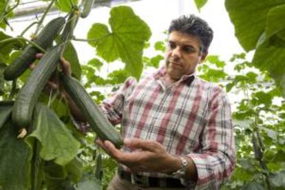 Un agricultor en su finca de almera. EFE/Archivo